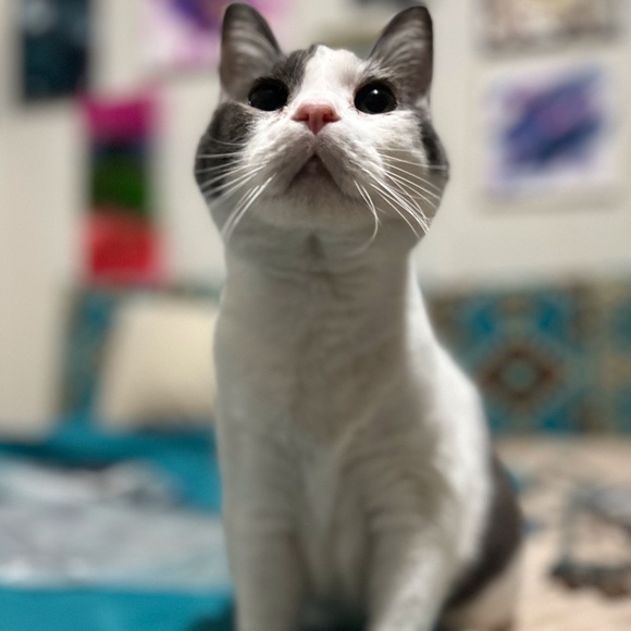 Meet your Posher, Megan - Picture 2 of 16